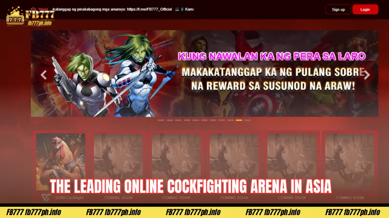 The leading online cockfighting arena in Asia