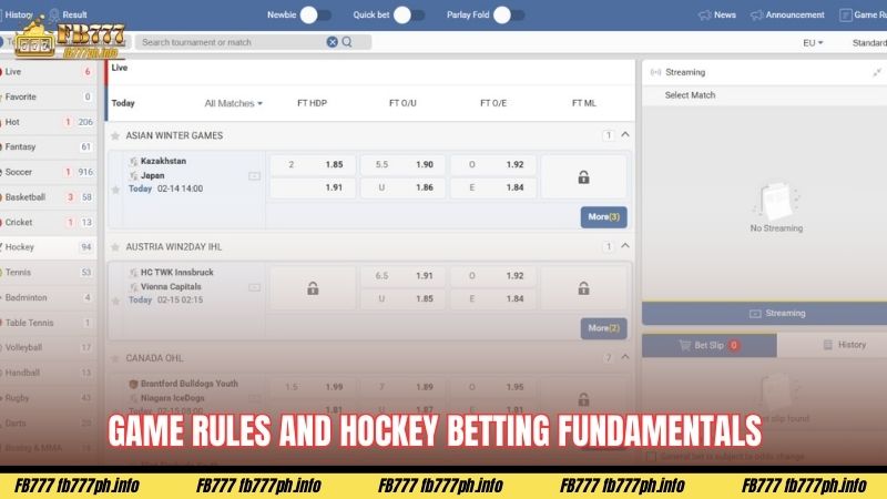 Game rules and Hockey betting fundamentals