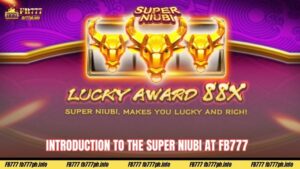 Introduction to the Super Niubi at Fb777